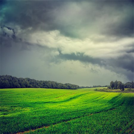 Dark Landscape with Green Field and Gray Storm Sky. Moody HDR Styled Stormy Cloudscape. Toned and Filtered Dramatic Photo with Copy Space. Stock Photo - Budget Royalty-Free & Subscription, Code: 400-08777908