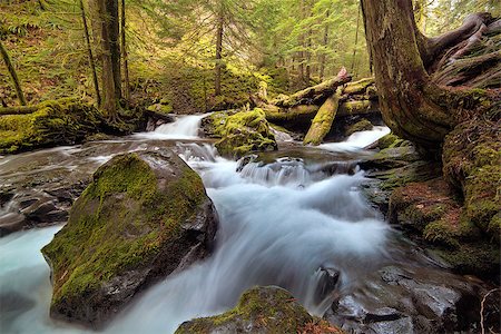 simsearch:400-09224968,k - Log Jam at Panther Creek Falls in Gifford Pinchot National Forest Washington State Foto de stock - Royalty-Free Super Valor e Assinatura, Número: 400-08778019