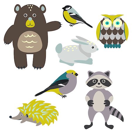 Forest cartoon animals isolated on white for kids. Brown bear, birds, green hedgehog, green owl, gray racoon and blue bunny. Stock Photo - Budget Royalty-Free & Subscription, Code: 400-08778274