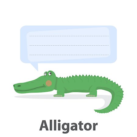 Green alligator vector illustration.Cartoon reptile vector .Danger animal isolated on a white background with template speech bubble.Zoo animal.African alligator animal Stock Photo - Budget Royalty-Free & Subscription, Code: 400-08779396