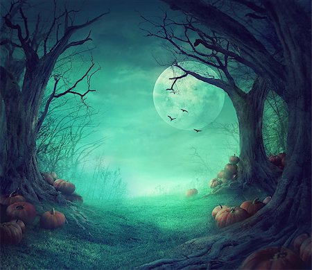 Halloween background. Spooky forest with dead trees and pumpkins.Halloween design with pumpkins Stock Photo - Budget Royalty-Free & Subscription, Code: 400-08771009