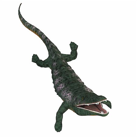 simsearch:400-08694325,k - Archegosaurus was an amphibian tetrapod that lived in Europe during the Permian Period. Foto de stock - Super Valor sin royalties y Suscripción, Código: 400-08771651