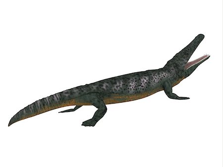 simsearch:400-08694325,k - Archegosaurus was an amphibian tetrapod that lived in Europe during the Permian Period. Foto de stock - Super Valor sin royalties y Suscripción, Código: 400-08771653