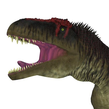 simsearch:400-08694325,k - Tyrannotitan was a carnivorous theropod dinosaur that lived in the Cretaceous Period of Argentina. Foto de stock - Super Valor sin royalties y Suscripción, Código: 400-08771677