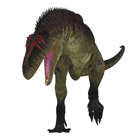 simsearch:400-08694325,k - Tyrannotitan was a carnivorous theropod dinosaur that lived in the Cretaceous Period of Argentina. Foto de stock - Super Valor sin royalties y Suscripción, Código: 400-08771678