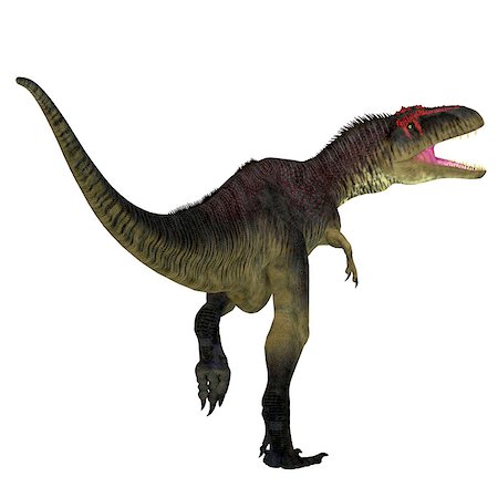 simsearch:400-08694325,k - Tyrannotitan was a carnivorous theropod dinosaur that lived in the Cretaceous Period of Argentina. Foto de stock - Super Valor sin royalties y Suscripción, Código: 400-08771680