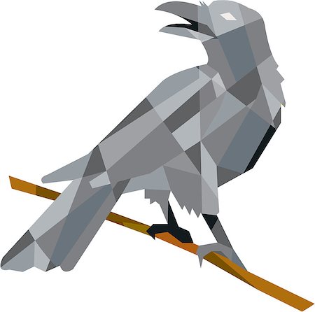 Low polygon style illustration of a crow bird perched on a piece of wood looking back set on isolated white background. Stockbilder - Microstock & Abonnement, Bildnummer: 400-08771948