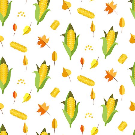 pic of popcorn on the cob - Corn seamless pattern vector illustration. Maize ear or cob. Yellow sweetcorn and seeds autumn white background. Stock Photo - Budget Royalty-Free & Subscription, Code: 400-08772194