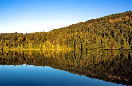 simsearch:400-04031749,k - Autumn, forest on the lake, illuminated by the setting sun, reflected in the water surface Stockbilder - Microstock & Abonnement, Bildnummer: 400-08772384