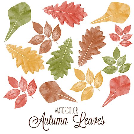 Set of watercolor colorful autumn leaves. Vector illustration. Stock Photo - Budget Royalty-Free & Subscription, Code: 400-08785079