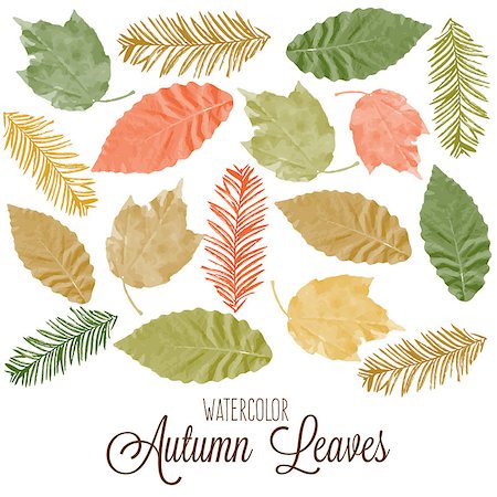 Set of watercolor colorful autumn leaves. Vector illustration. Stock Photo - Budget Royalty-Free & Subscription, Code: 400-08785080