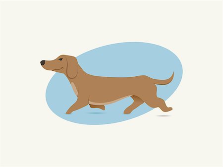 Cute daschund dog illustration Stock Photo - Budget Royalty-Free & Subscription, Code: 400-08786059