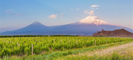 simsearch:879-09034433,k - Grape field in Ararat valley. View of Khor Virap and Mount Ararat Foto de stock - Super Valor sin royalties y Suscripción, Código: 400-08786789