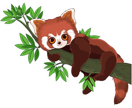red pandas - Cute panda is sleeping on a branch Stock Photo - Budget Royalty-Free & Subscription, Code: 400-08787500