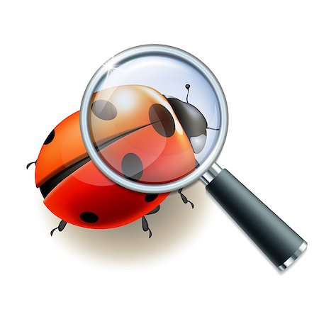 Magnifying glass and Ladybird, education concept. Scientific biology, study nature, vector illustration Stock Photo - Budget Royalty-Free & Subscription, Code: 400-08787733