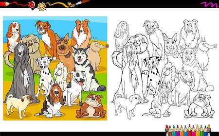 simsearch:400-09050922,k - Cartoon Illustration of Purebred Dogs Group Coloring Book Activity Stock Photo - Budget Royalty-Free & Subscription, Code: 400-08787847