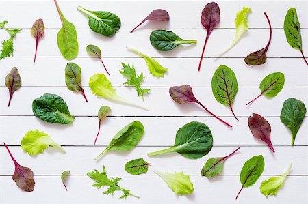 salad greens on white background - Pattern design of various salad leaves on white wooden background / Flat lay green salad leaves on white background Stock Photo - Budget Royalty-Free & Subscription, Code: 400-08787876