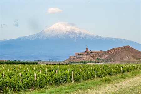 simsearch:879-09034433,k - Grape field in Ararat valley. View of Khor Virap and Mount Ararat. Exploring Armenia Foto de stock - Super Valor sin royalties y Suscripción, Código: 400-08788019