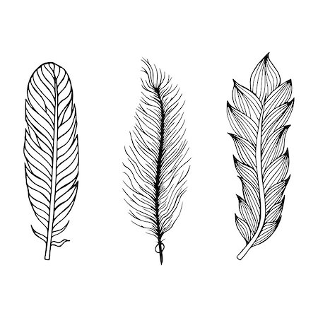 simsearch:400-04824743,k - Set of hand drawn feathers on the isolated background. Vector illustration. Photographie de stock - Aubaine LD & Abonnement, Code: 400-08788103