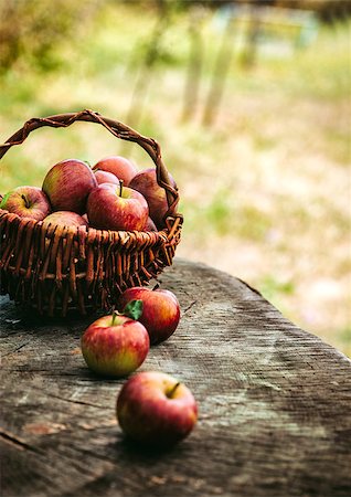 simsearch:825-03626863,k - Fresh harvest of apples. Wooden background with basket full of apples. Nature fruit concept. Stock Photo - Budget Royalty-Free & Subscription, Code: 400-08788326