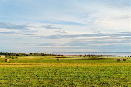 Hay bales on a farm along the ocean with the Confederation Bridge in the background (Prince Edward Island, Canada) Stock Photo - Budget Royalty-Free & Subscription, Code: 400-08789237