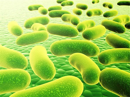 simsearch:400-04337180,k - Pathogen bacteria on the surface.  3d render Stock Photo - Budget Royalty-Free & Subscription, Code: 400-08780039