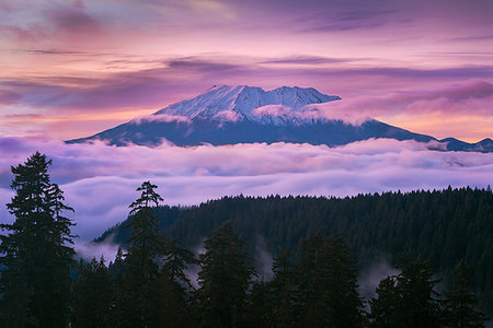 foresta nazionale gifford pinchot - View of Mount St Helens sunset from McClellan Viewpoint in Gifford Pinchot National Forest Washington Fotografie stock - Microstock e Abbonamento, Codice: 400-08794354
