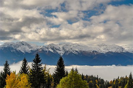 Snow covered mountains with mist and trees in the foreground. Blue sky with clouds. Stock Photo - Budget Royalty-Free & Subscription, Code: 400-08794978