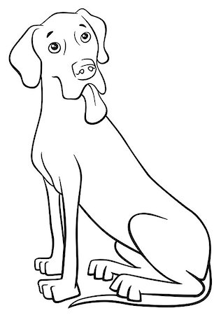 sitting colouring cartoon - Black and White Cartoon Illustration of Great Dane Dog Stock Photo - Budget Royalty-Free & Subscription, Code: 400-08795006