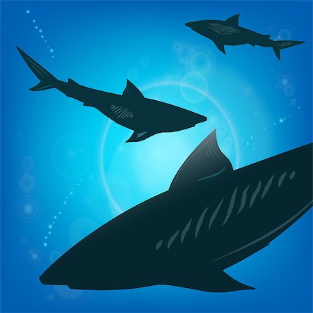 simsearch:400-08530017,k - Sharks under water. Fish in ocean, animal nature life, swimming wildlife, vector illustration Stockbilder - Microstock & Abonnement, Bildnummer: 400-08790658