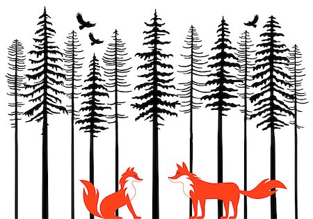 silhouettes of eagle in tree - Fox couple in fir tree forest, vector illustration over white background Stock Photo - Budget Royalty-Free & Subscription, Code: 400-08791936