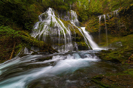 foresta nazionale gifford pinchot - Panther Creek Falls in Gifford Pinchot National Forest Trail #137 in Washington State Fotografie stock - Microstock e Abbonamento, Codice: 400-08792727