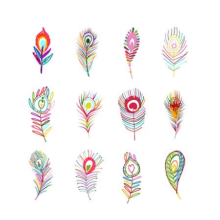 Peacock feather collection for your design. Vector illustration Stock Photo - Budget Royalty-Free & Subscription, Code: 400-08792958