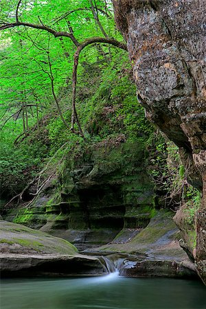 simsearch:400-08793800,k - Gently flowing out of the Illinois Canyon, in Starved Rock State Park, Illinois, a stream steps down into the a pool of water. Stock Photo - Budget Royalty-Free & Subscription, Code: 400-08793762
