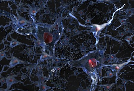 Illustration of human nerve cell net on a black 3d render Photographie de stock - Aubaine LD & Abonnement, Code: 400-08793934