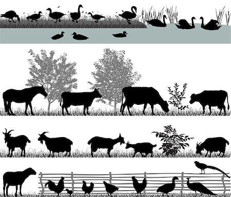 simsearch:400-04351992,k - Collection of silhouettes of domestic animals - farm animals Foto de stock - Super Valor sin royalties y Suscripción, Código: 400-08806568