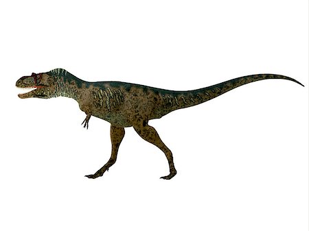 sarkophag - Albertosaurus was a theropod carnivorous dinosaur that lived in the Cretaceous Period of North America. Stock Photo - Budget Royalty-Free & Subscription, Code: 400-08807304