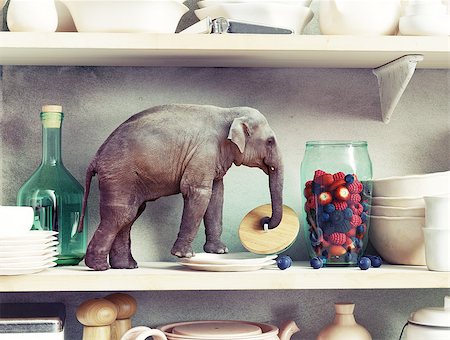 The tiny elephant opens the glass vase with berries. Photo combination concept Stock Photo - Budget Royalty-Free & Subscription, Code: 400-08808598