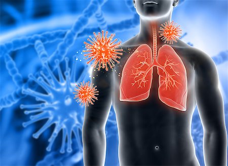 3D render of a medical background with male figure with lungs highlighted and virus cells Foto de stock - Super Valor sin royalties y Suscripción, Código: 400-08808768