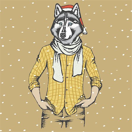 simsearch:400-09080795,k - Christmas husky vector illustration. Husky in human suit. Husky in Santa hat Stock Photo - Budget Royalty-Free & Subscription, Code: 400-08816048