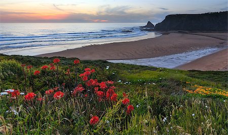 simsearch:400-09011314,k - Pink sunset ocean scenery and summer Odeceixe beach (Aljezur, Algarve, Portugal). Stockbilder - Microstock & Abonnement, Bildnummer: 400-08816276