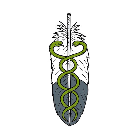 simsearch:400-08917363,k - Drawing sketch style illustration of a medical snake intertwined in eagle feather viewed from front set on isolated white background. Stock Photo - Budget Royalty-Free & Subscription, Code: 400-08816527