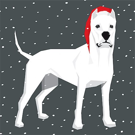 dog christmas background - Vector polygon dog collection. Dog in Christmas Santa hat. Dogo Argentino Stock Photo - Budget Royalty-Free & Subscription, Code: 400-08817204