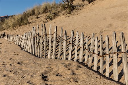 Fence on the beach of la Mine in Jard-sur-Mer (Vendee, France) Stock Photo - Budget Royalty-Free & Subscription, Code: 400-08818260