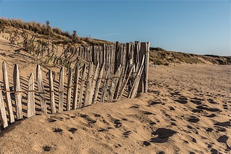 Fence on the beach of la Mine in Jard-sur-Mer (Vendee, France) Stock Photo - Budget Royalty-Free & Subscription, Code: 400-08818261