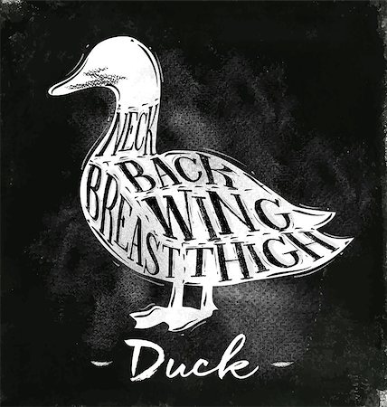 simsearch:400-07749007,k - Poster duck cutting scheme lettering neck, back, wing, breast, thigh in vintage style drawing with chalk on chalkboard background Foto de stock - Royalty-Free Super Valor e Assinatura, Número: 400-08818421