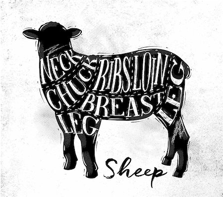 simsearch:400-07749007,k - Poster sheep lamb cutting scheme lettering neck, chuck, ribs, breast, loin, leg in vintage style drawing on dirty paper background Foto de stock - Royalty-Free Super Valor e Assinatura, Número: 400-08818433