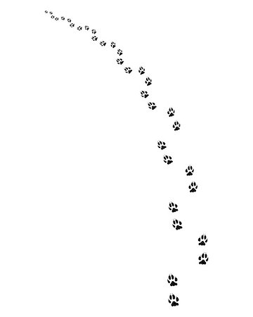 Black footprints of dogs on a white background, turn left Stock Photo - Budget Royalty-Free & Subscription, Code: 400-08818638