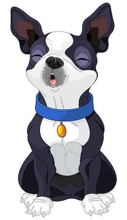 Illustration of howling cute Boston terrier Stock Photo - Budget Royalty-Free & Subscription, Code: 400-08818790