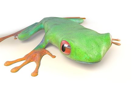 simsearch:400-07621766,k - red eyed tree frog from tropical rainforest of Costa Rica isolated on white. Beautiful green and blue treefrog is an exotic animal from the rain forest. 3d render Stockbilder - Microstock & Abonnement, Bildnummer: 400-08819375